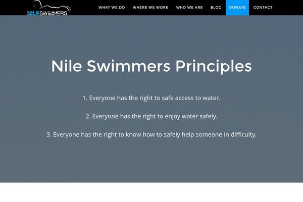 Parallax Pro theme site design template sample