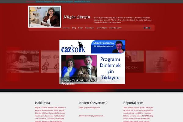 Envisioned theme site design template sample