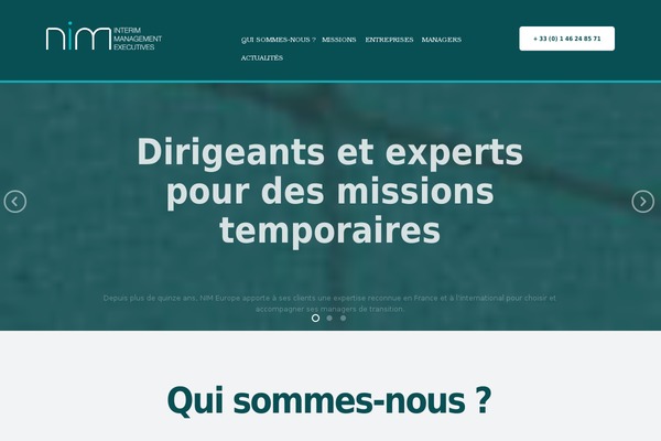 Mineral theme site design template sample