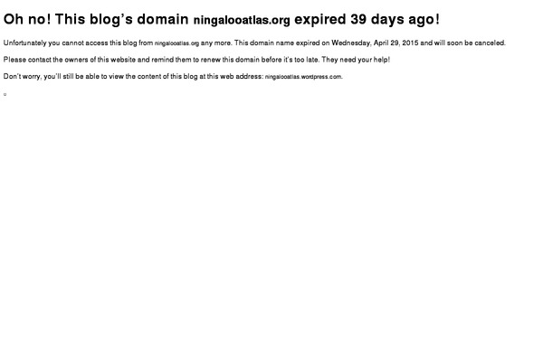 Vito theme site design template sample