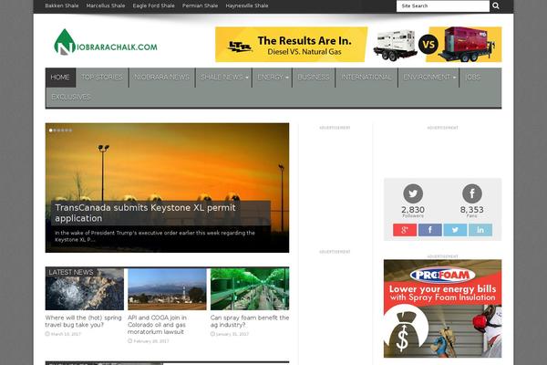 Site using MailChimp List Subscribe Form plugin