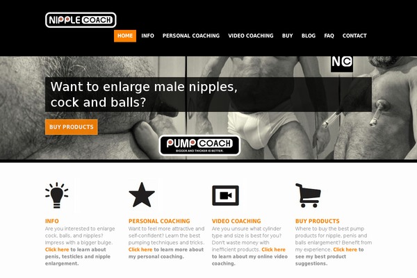 Site using Easywpseo plugin