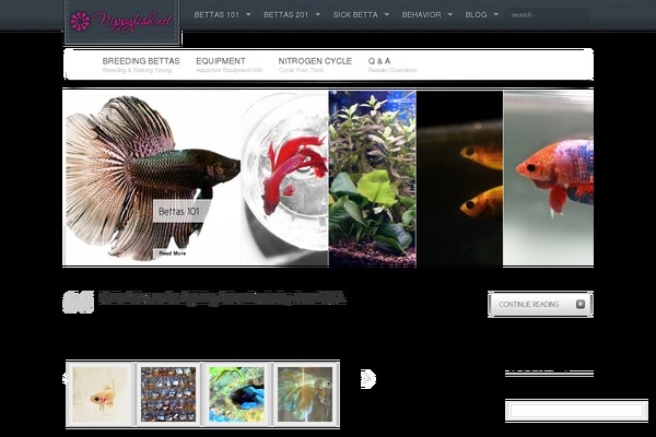 Site using Nippyfish-genesis-customization plugin