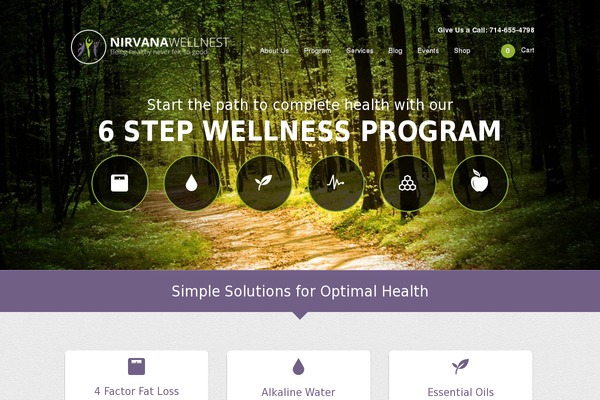 Appply theme site design template sample
