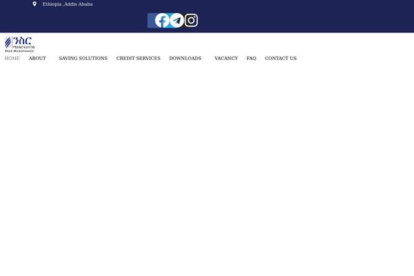 Modins theme site design template sample
