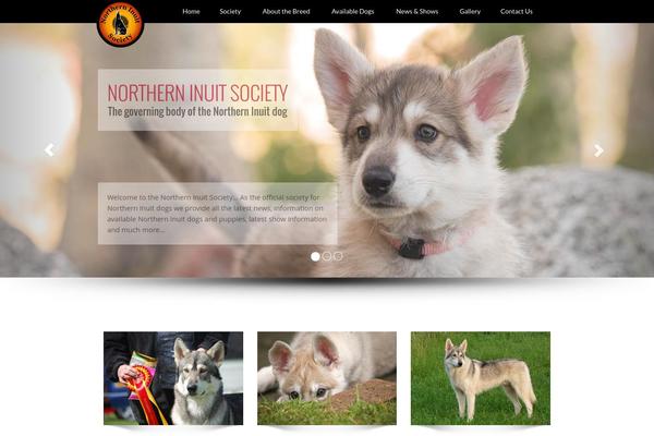 Enigma theme site design template sample