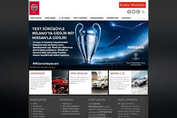 OpenDoor theme site design template sample