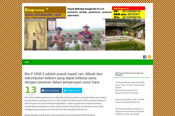 Forestly theme site design template sample