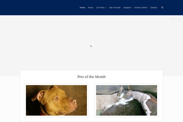 Rescue theme site design template sample