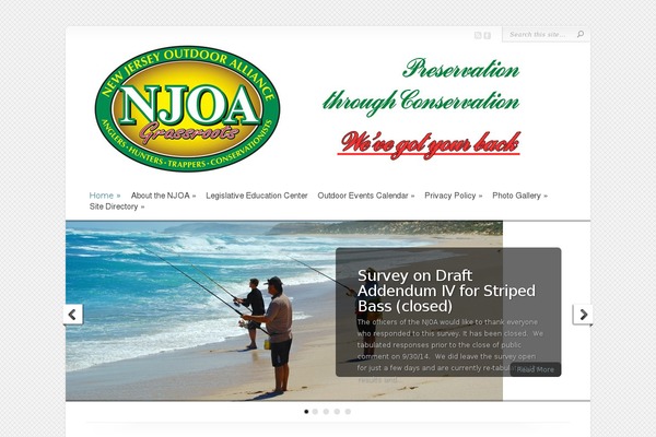 Chameleon theme site design template sample