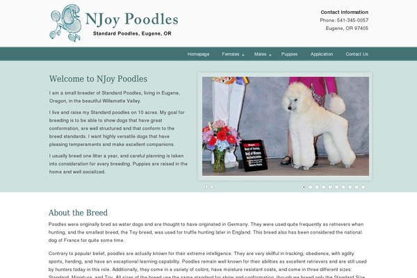 U Design Child theme site design template sample
