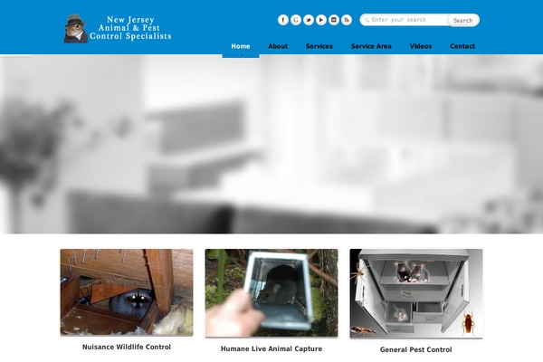 Caffeine theme site design template sample