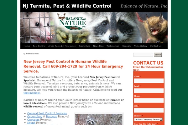 Site using FBF Facebook page Feed Widget plugin