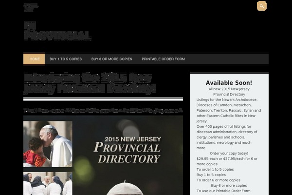 The Newswire theme site design template sample