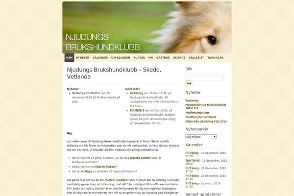 Codium Extend theme site design template sample