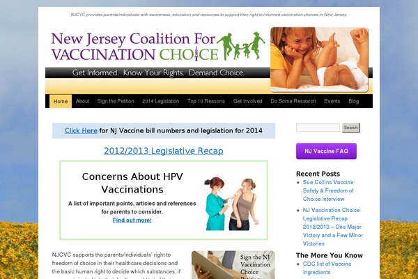 nova-wp theme websites examples