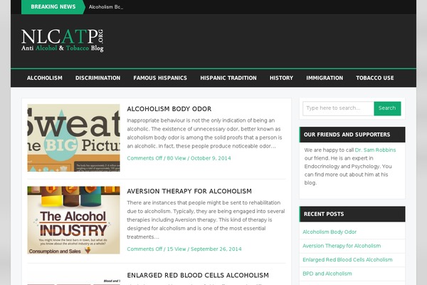 Bzine theme site design template sample