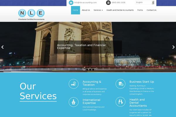 Dazzling theme site design template sample
