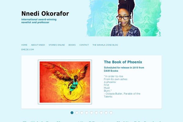 Site using Feed Them Social (Facebook, Instagram, Twitter, Vine, Pinterest, etc) plugin