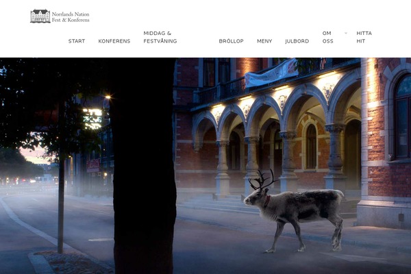 Chicago theme site design template sample