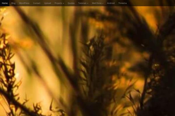 Arcade Basic theme site design template sample