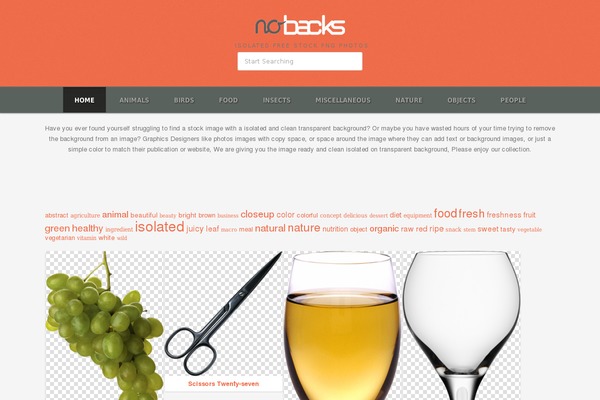 isolated theme websites examples