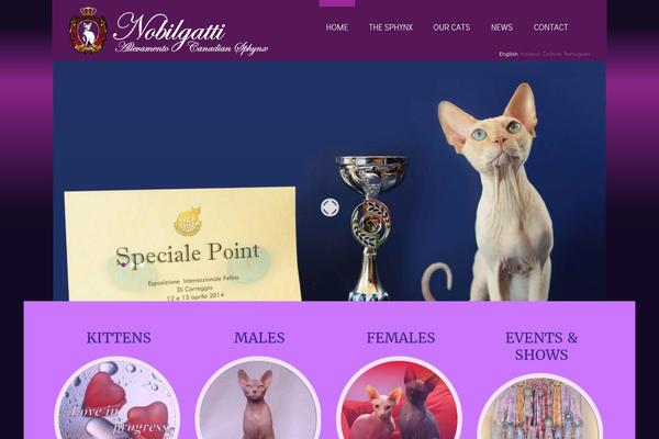 Site using Cherry-portfolio plugin