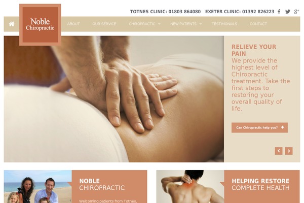Cacoon theme site design template sample