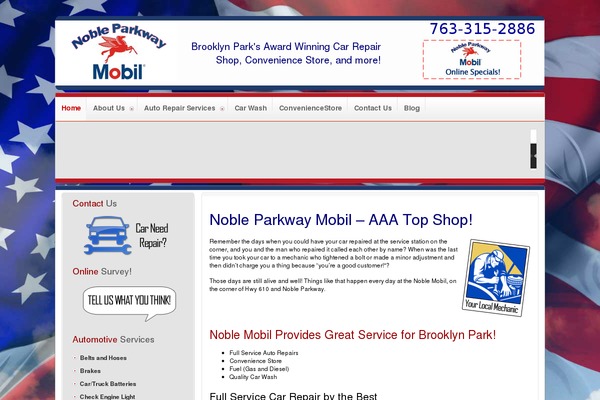 Rt_infuse_wp theme site design template sample