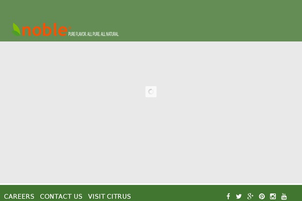 Noble theme site design template sample
