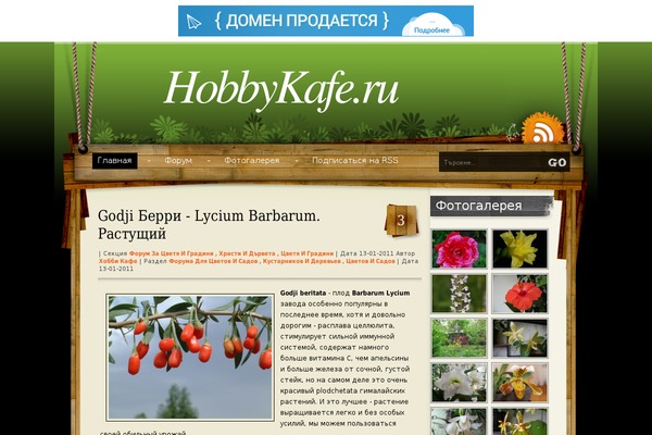 Hanging theme site design template sample
