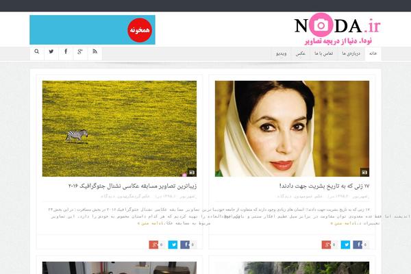 noda theme websites examples