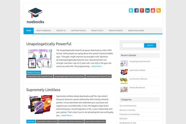 Iconic One Pro theme site design template sample