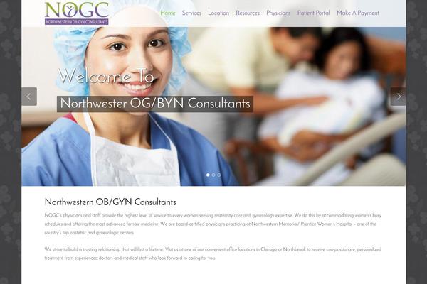 nogconsultants.com site used Diverso