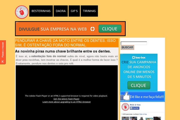 nv theme websites examples