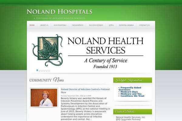 Candidate theme site design template sample