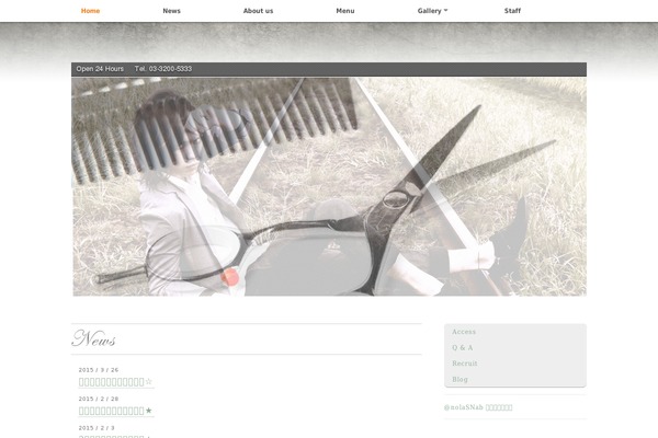 Pinzolo theme site design template sample