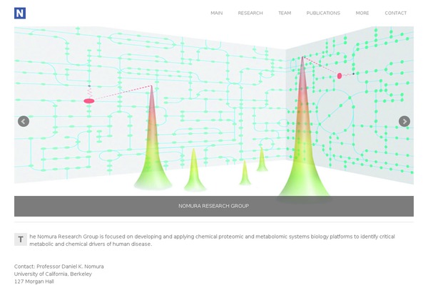 nomuraresearchgroup.com site used Nomura