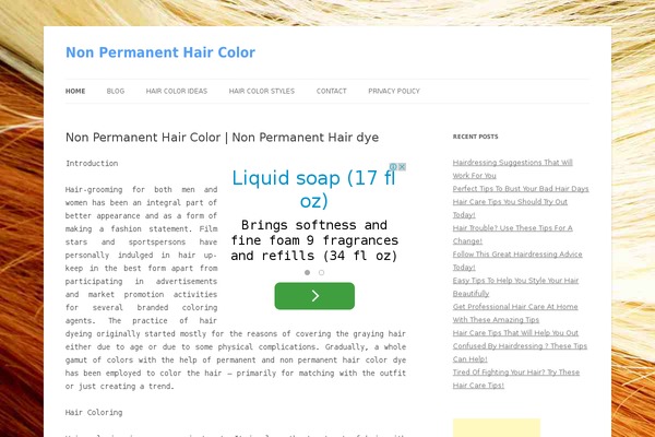 Colorbold theme site design template sample