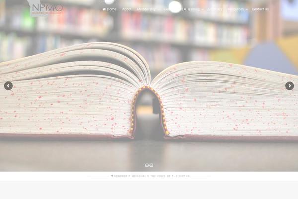 KLEO theme site design template sample