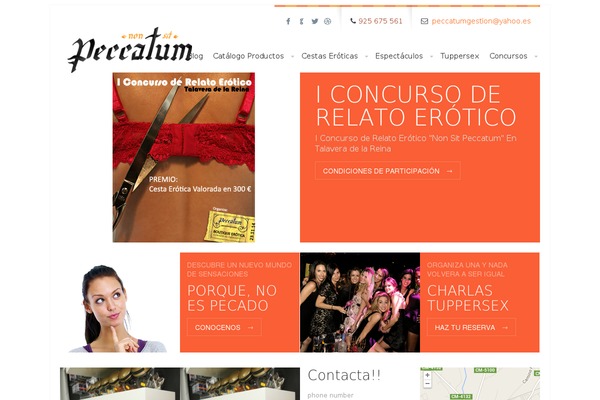 Bretheon theme site design template sample