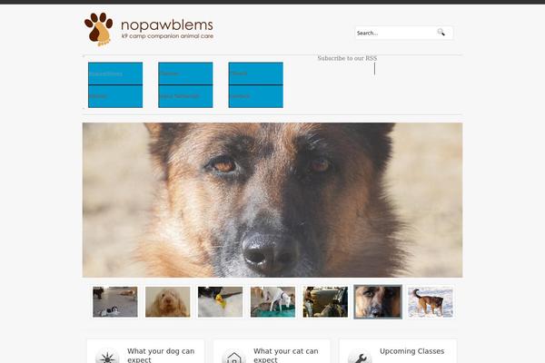 nopawblems.ca site used Roomy