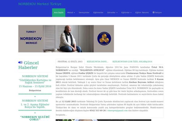 Dazzling theme site design template sample