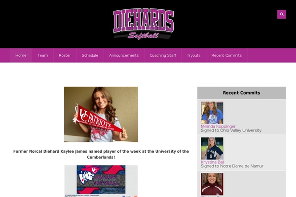 Evergreen Sports theme site design template sample