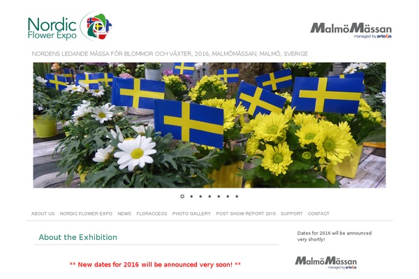 picolight theme site design template sample