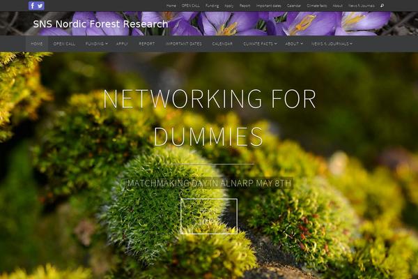 Site using Recent Facebook Posts plugin