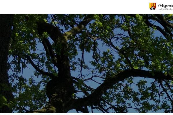 Site using Airi-pro plugin