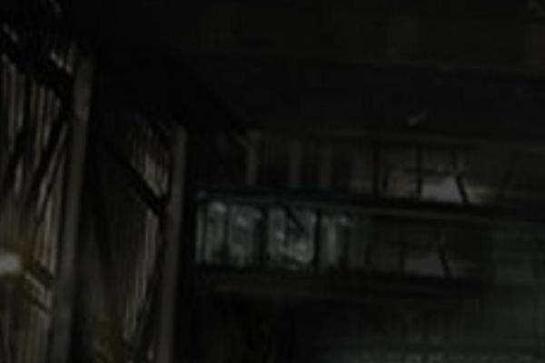 Site using Splash-screen plugin