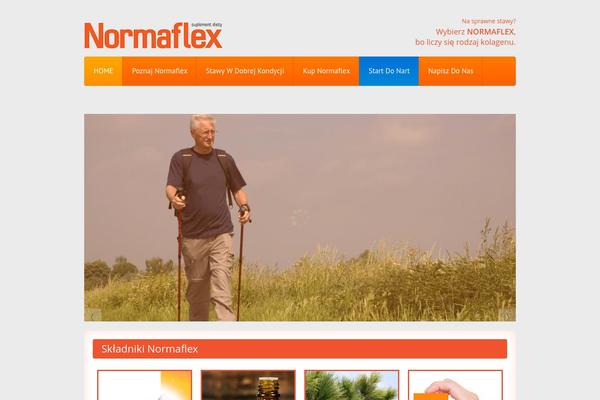 Theme1897 theme site design template sample