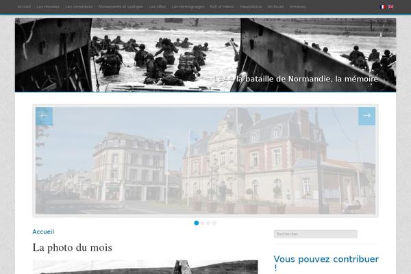 Best theme site design template sample